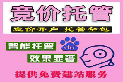 快手平台信息流广告的创意执行与市场反馈